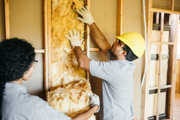 Best Home Insulation Services  in Stanton, TX