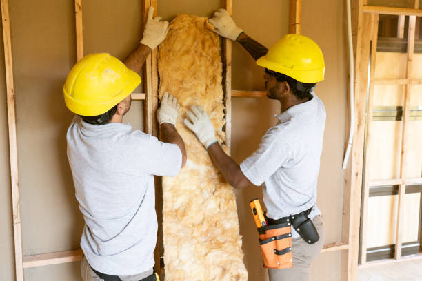 Best Spray Foam Insulation  in Stanton, TX