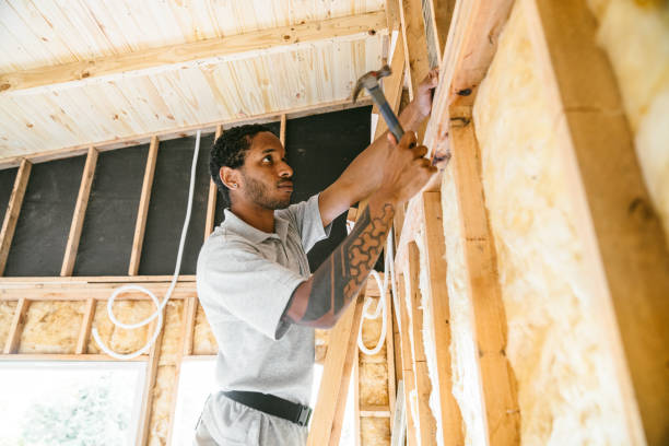 Best Insulation Replacement Services  in Stanton, TX