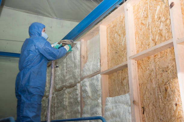 Best Insulation for Commercial Buildings  in Stanton, TX