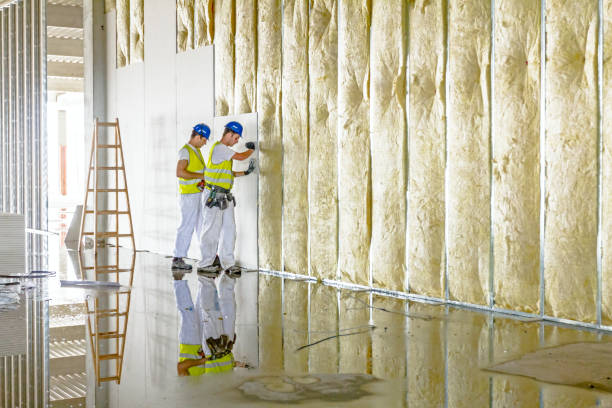 Garage Insulation Installation in Stanton, TX